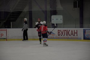 23.12.2024. КРЕЧЕТ-КАМЧАТКА 28.12.2024