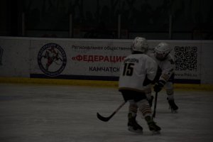 01.02.2025. КЛА ТРАКТОР-АДМИРАЛ 31.03.2025