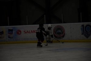 01.02.2025. КЛА ТРАКТОР-АДМИРАЛ 31.03.2025