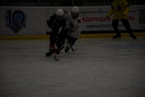 01.02.2025. КЛА ТРАКТОР-АДМИРАЛ 31.03.2025