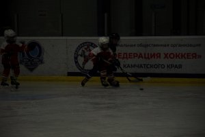 01.02.2025. КЛА ДИНАМО-КУНЬЛУНЬ РЕД СТАР 31.03.2025