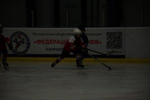 01.02.2025. КЛА ДИНАМО-КУНЬЛУНЬ РЕД СТАР 31.03.2025