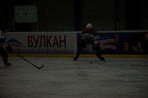01.02.2025. ЧКК КРЕЧЕТ-СТРОИТЕЛЬ 31.03.2025