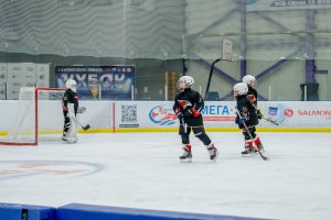 08.11.2025. КЛА АВАНГАРД-ТРАКТОР 12.11.25