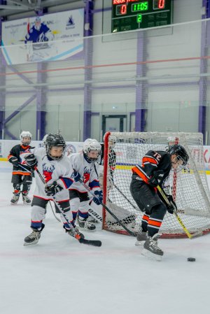 18.11.2025. КЛА АМУР - ТОРПЕДО 19.11.25