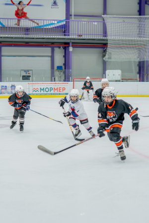 18.11.2025. КЛА АМУР - ТОРПЕДО 19.11.25