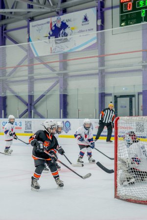 18.11.2025. КЛА АМУР - ТОРПЕДО 19.11.25