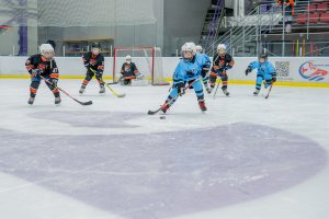 18.11.2025. КЛА ДИНАМО МН - АМУР 19.11.25