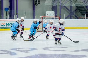 11.11.2025. КЛА ДИНАМО МН - ТОРПЕДО 12.11.25