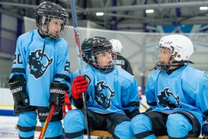 11.11.2025. КЛА ДИНАМО МН - ТОРПЕДО 12.11.25