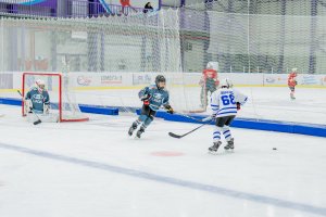 18.11.2025. КЛА ДИНАМО МСК - ЛАДА 19.11.2025_