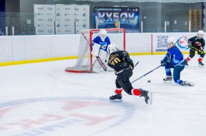 27.01.2026. КЛА БАРЫС - АВАНГАРД 28.01.2026