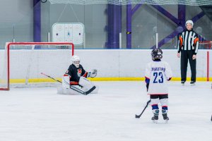 27.01.2026. КЛА АМУР - ТОРПЕДО 28.01.2026