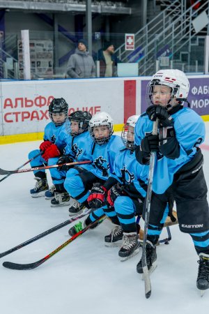 16.02.2026. КЛА ДИНАМО-АМУР 18.02.2026