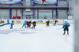 16.02.2026. КЛА ДИНАМО-АМУР 18.02.2026