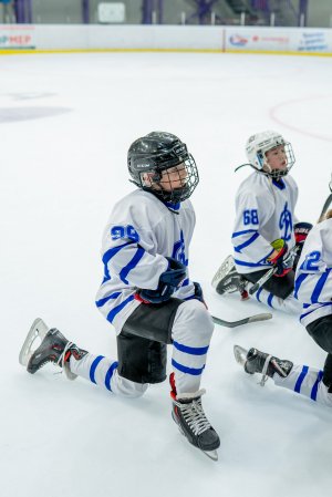 23.02.2026. КЛА ДИНАМО-ЛАДА 25.02.2026