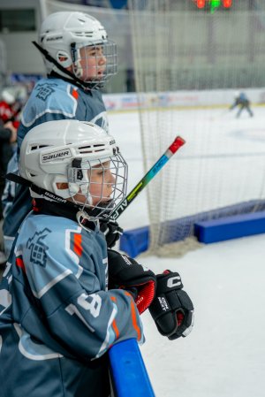 23.02.2026. КЛА ДИНАМО-ЛАДА 25.02.2026