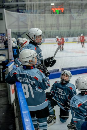 23.02.2026. КЛА ДИНАМО-ЛАДА 25.02.2026