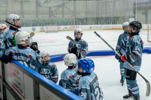 23.02.2026. КЛА ДИНАМО-ЛАДА 25.02.2026