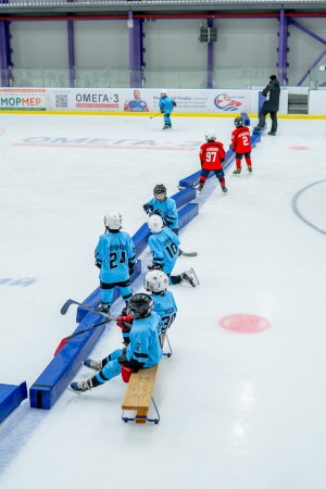 23.02.2026. КЛА ДИНАМО-АВТОМОБИЛИСТ 25.02.2026