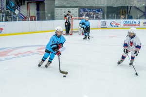 23.02.2026. КЛА ДИНАМО-ТОРПЕДО 25.02.2026