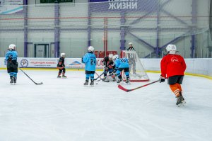 23.02.2026. КЛА ДИНАМО-АМУР 25.02.2026