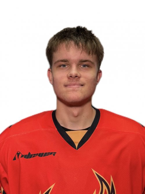 Винник  Арсений  Владимирович