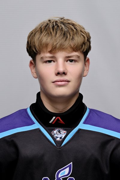 Горячев  Роман  Богданович