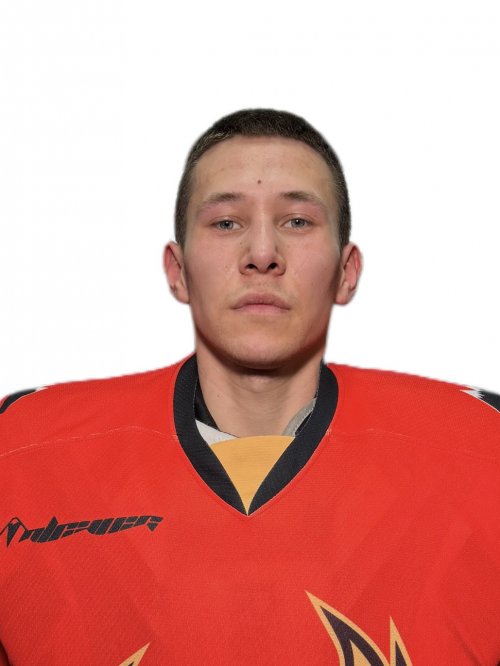 Зыкин  Роман  Сергеевич